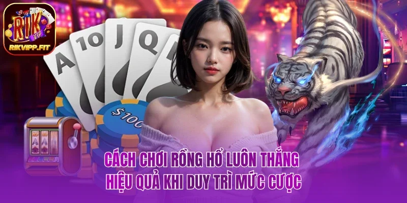 Cách chơi Rồng Hổ luôn thắng hiệu quả khi duy trì mức cược